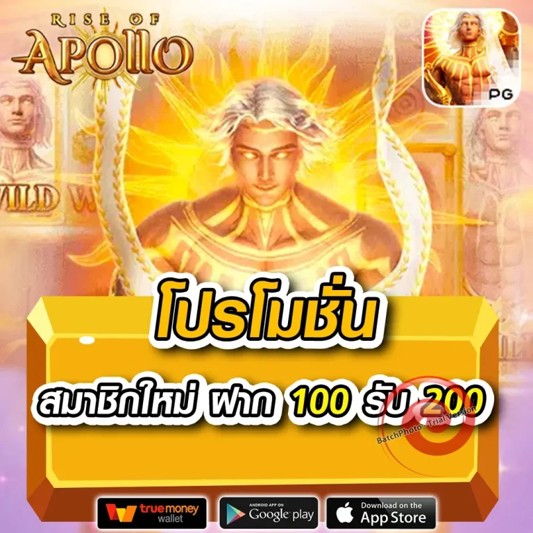 miami88 เว็บตรง